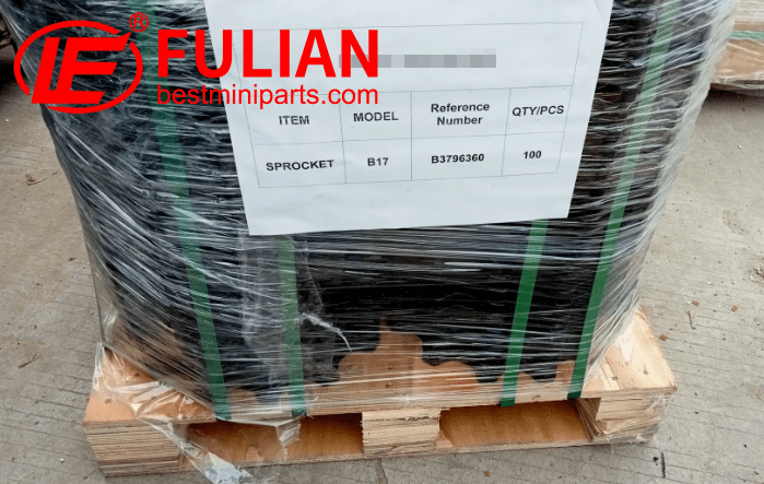 to belgium 20220622 (17)