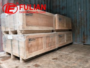 #2022.12.16c belgium (4)